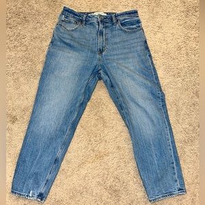 Abercrombie & Fitch Curve Love High Rise Mom Jeans - Mid Wash Size 29S